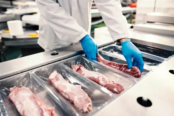 Pork fabrication and packing – advising processors on yield, efficiency, cost control, and margin strategy