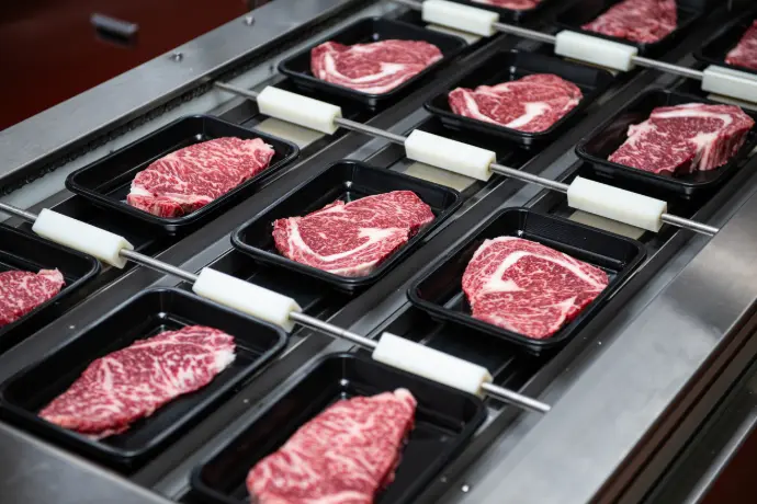 Beef processing operations – advising packers on throughput efficiency, yield optimization, and pricing strategy