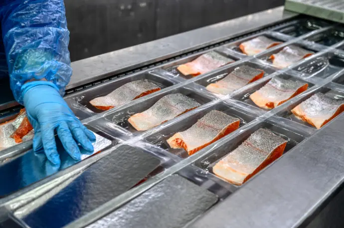 Seafood and fish processing – advising seafood producers on sourcing, yield, capacity planning, and profitability